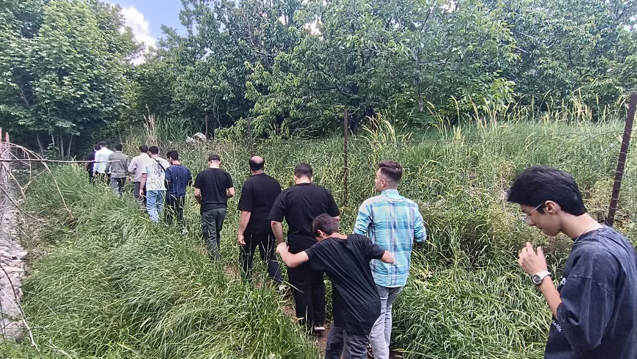 طرح تربیتی